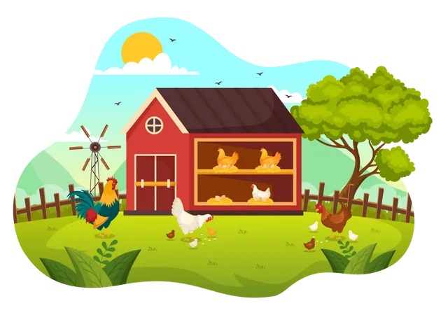 Poultry Farm Vector Illustration With Chickens Roosters Straw Cage And Egg On Scenery Of Green Field Background In Flat Cartoon Design 일러스트레이션