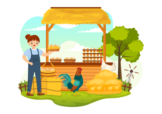 Poultry Management  Illustration