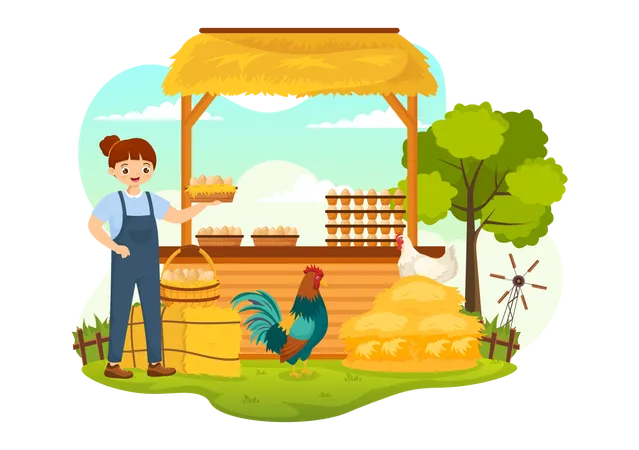 Poultry Management  Illustration