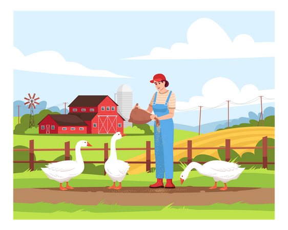 Poultry pasture on farmland Illustration