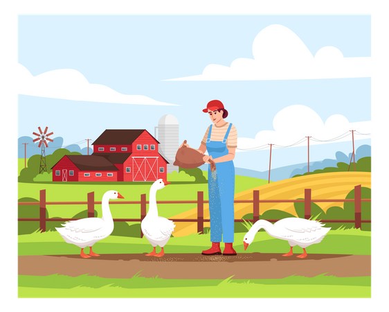 Poultry pasture on farmland  Illustration