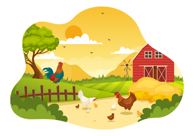 Poultry Welfare  Illustration