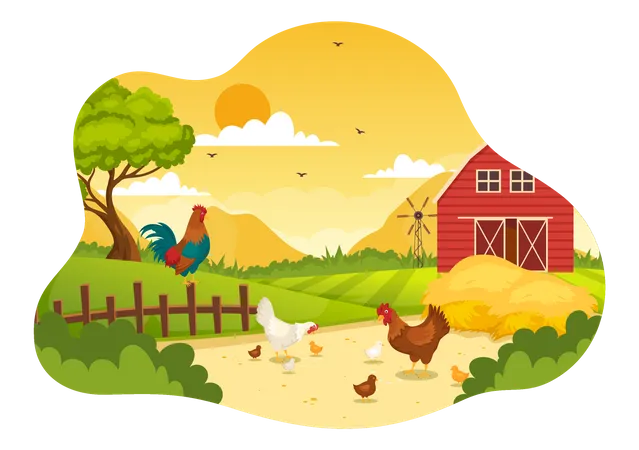 Poultry Farm Vector Illustration With Chickens Roosters Straw Cage And Egg On Scenery Of Green Field Background In Flat Cartoon Design Illustration