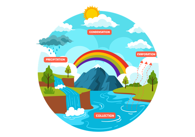 Precipitation Process  Illustration