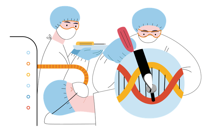 Precise genetic modifications at the molecular level  Illustration