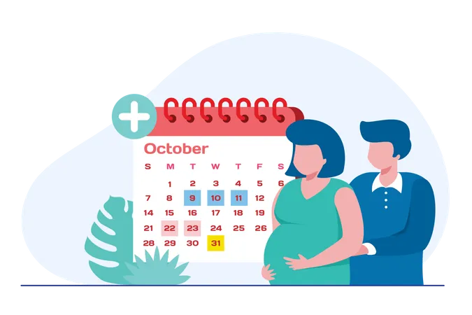 Pregnancy checkup routine Illustration