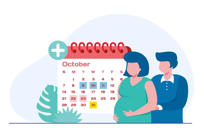 Pregnancy checkup routine  Illustration