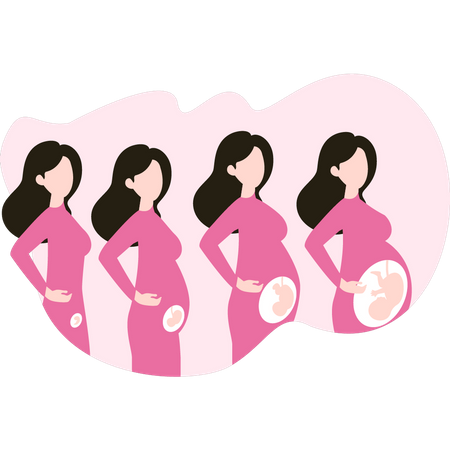 Pregnancy growth  Illustration