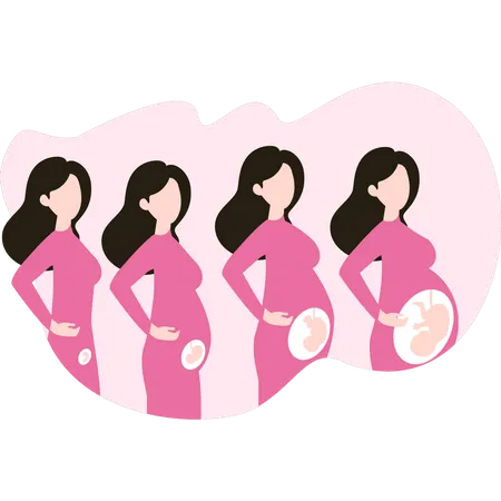 Pregnancy growth  Illustration