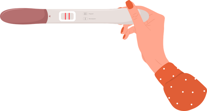 Pregnancy test Illustration