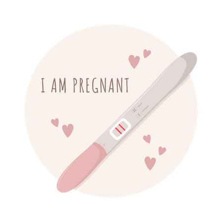 Pregnancy test strip  Illustration