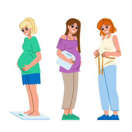 Pregnancy weight  Illustration