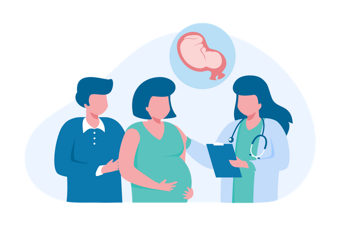 Pregnant checkup  Illustration