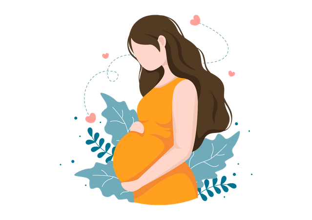 Pregnant Lady  Illustration