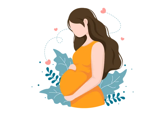 Pregnant Lady  Illustration