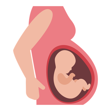 Pregnant Woman carrying baby inside womb  Illustration