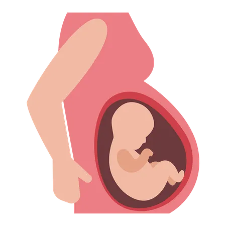 Pregnant Woman carrying baby inside womb  Illustration