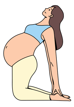 Pregnant woman doing exercise  Illustration