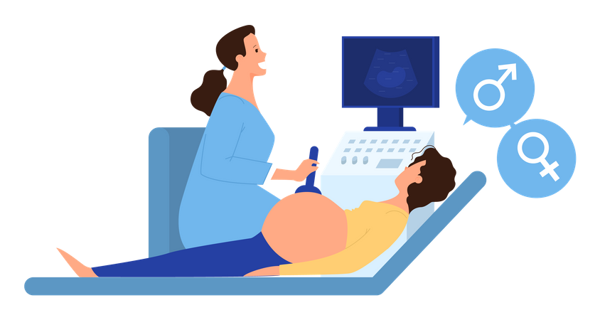 Pregnant woman doing ultrasound procedure at gynecologist hospital  Illustration