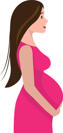 Pregnant woman  Illustration