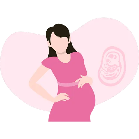 Pregnant woman is standing Illustration