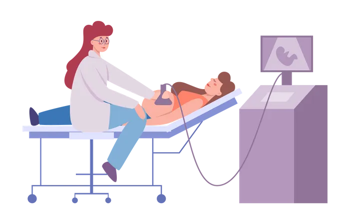Pregnant woman visiting doctor in hospital  Illustration