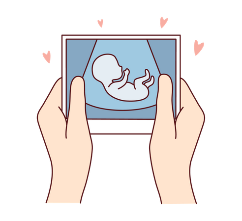 Pregnant womb picture Illustration
