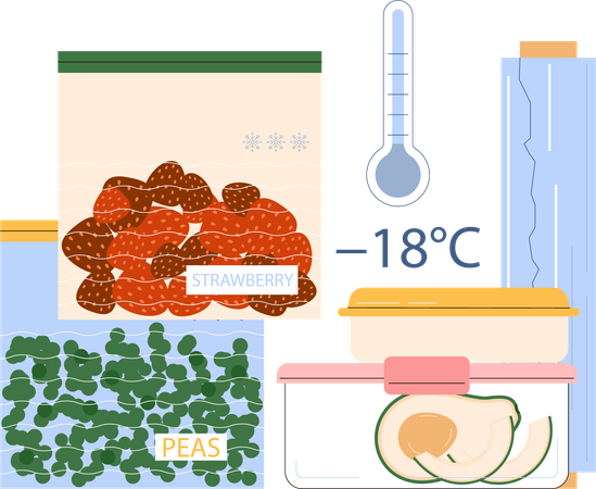 Conservação de frutas e legumes no congelador  Ilustração