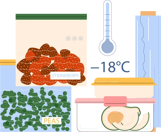 Conservação de frutas e legumes no congelador  Ilustração