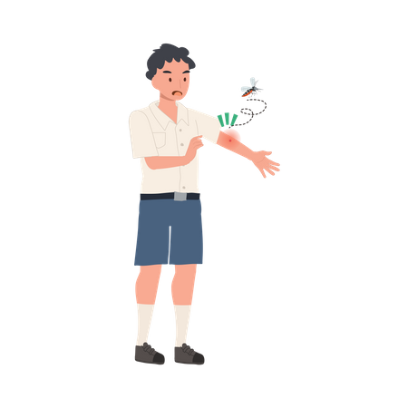 Prevenindo a propagação do vírus Zika  Ilustração