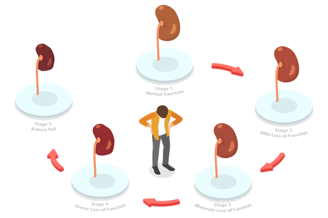 Problema renal  Ilustração