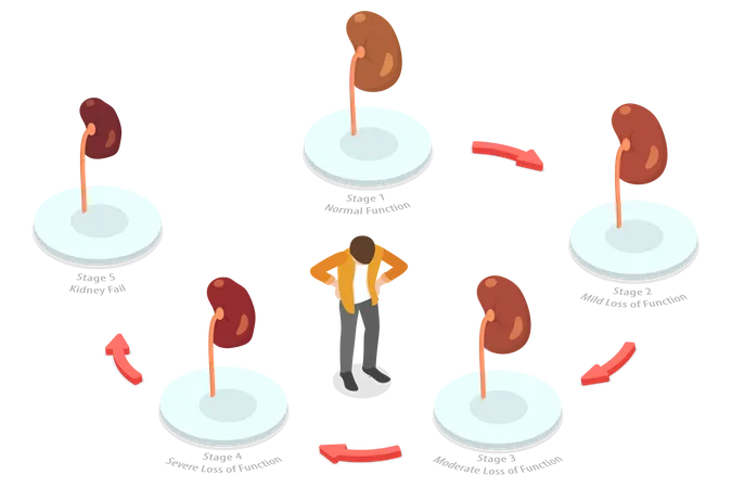 Problema renal  Ilustração