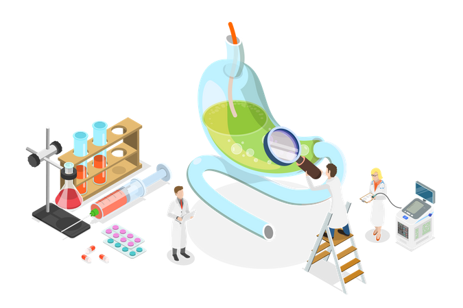 Procédure de diagnostic digestif  Illustration