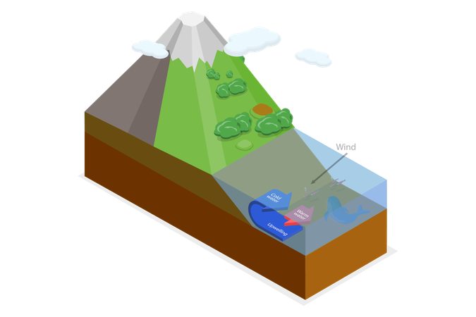 Proceso de movimiento de aguas profundas del océano  Ilustración