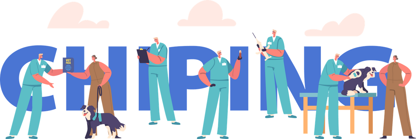 Process of implanting small microchip into pet for identification  Illustration