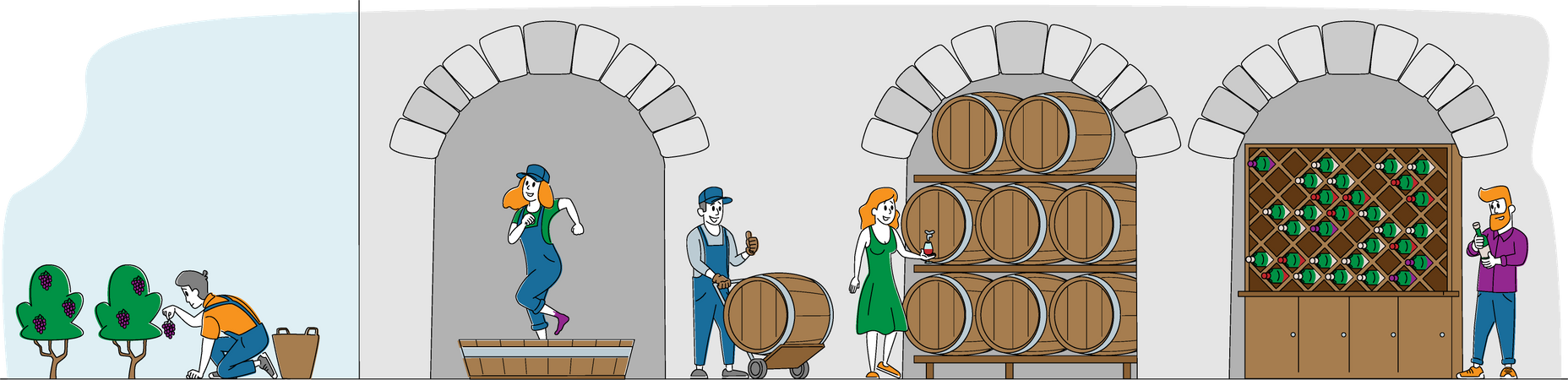 Producción de vino y consumo de vino.  Ilustración