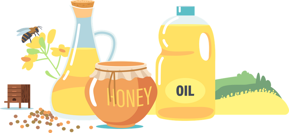 Production de miel et d’huile d’abeille  Illustration