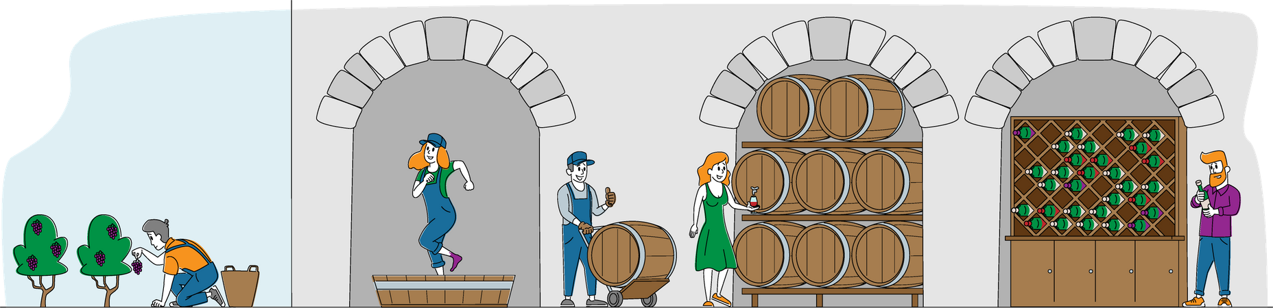 Production de vin et consommation de vin  Illustration