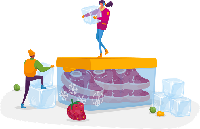 Products Refrigeration, Food, Fresh Berries, Vegetables Illustration