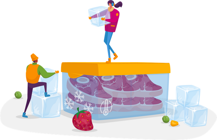 Products Refrigeration, Food, Fresh Berries, Vegetables  Illustration