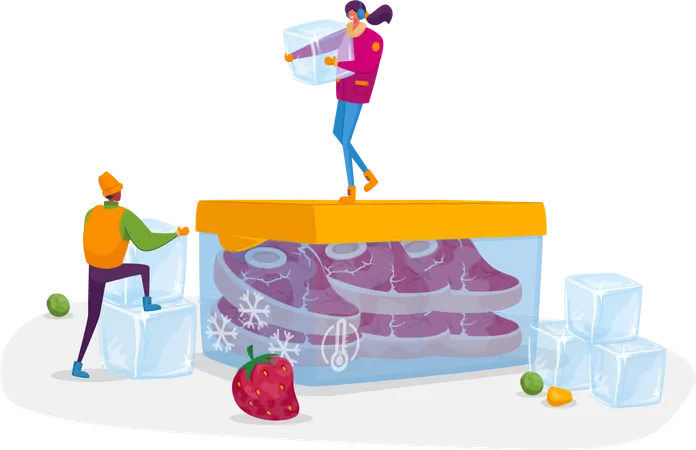 Products Refrigeration, Food, Fresh Berries, Vegetables  Illustration