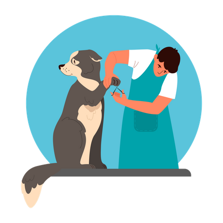 Professional barber grooming dog Illustration