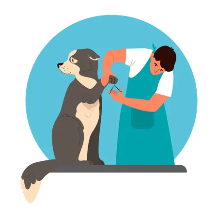 Professional barber grooming dog  Illustration