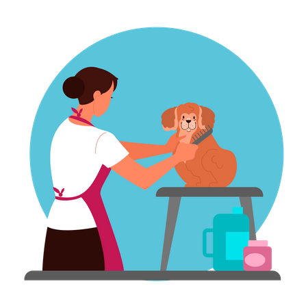 Professional female barber grooming dog  Illustration