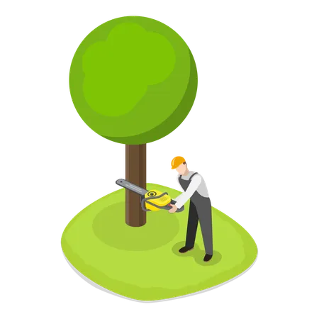 Professional Gardener cutting tree  Illustration