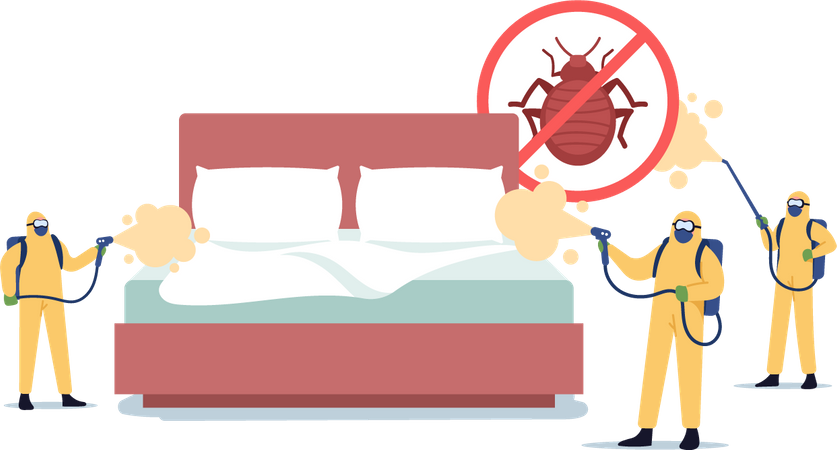 Professional Pest Control Service Doing Room Disinfection against Bed Bugs  Illustration