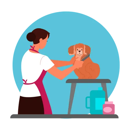 Professionelle weibliche Friseurin Pflege Hund  Illustration