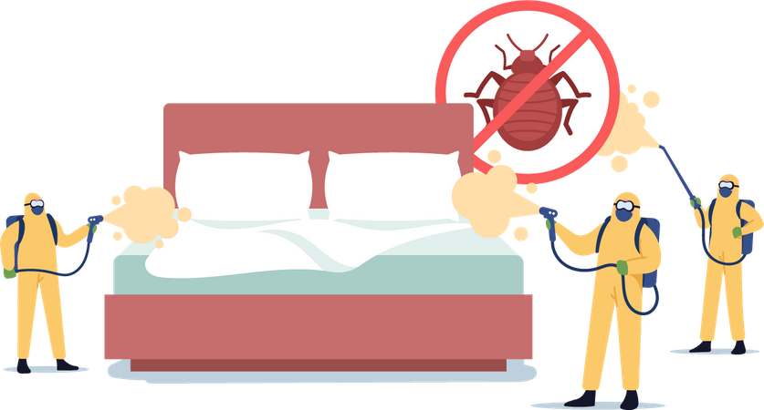 Professioneller Schädlingsbekämpfungsdienst zur Raumdesinfektion gegen Bettwanzen  Illustration