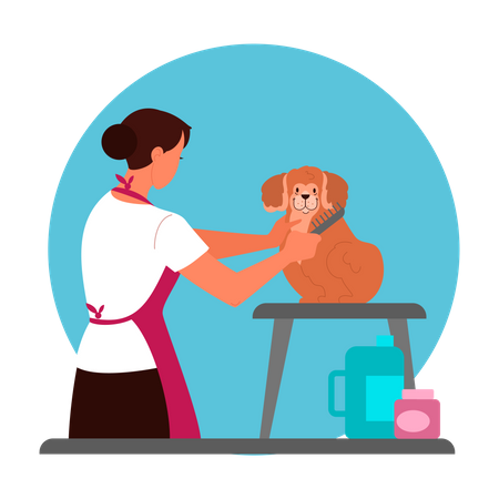 Chien de toilettage professionnel pour coiffeur féminin  Illustration