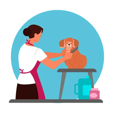 Chien de toilettage professionnel pour coiffeur féminin  Illustration